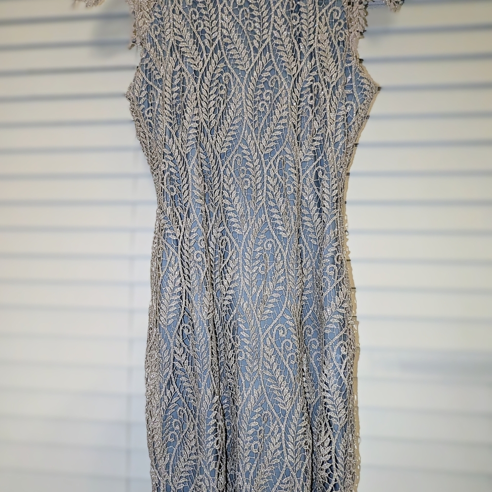 Designer Minon Doo Dress Georgeous